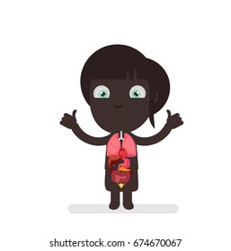 Human body anatomy vector illustration