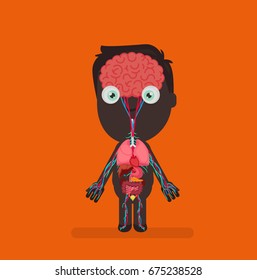 Human body anatomy vector illustration