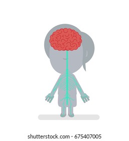Human body anatomy vector illustration