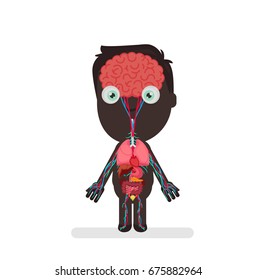Human body anatomy vector illustration