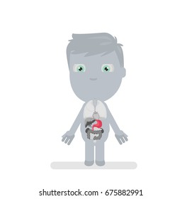 Human body anatomy vector illustration
