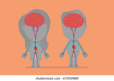 Human body anatomy vector illustration