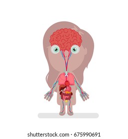 Human body anatomy vector illustration