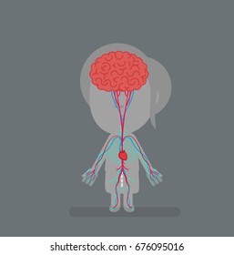 Human body anatomy vector illustration