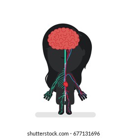 Human body anatomy vector illustration