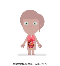Human body anatomy vector illustration