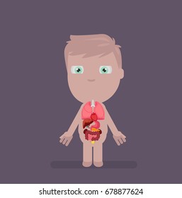 Human body anatomy vector illustration