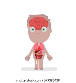 Human body anatomy vector illustration