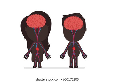 Human body anatomy vector illustration