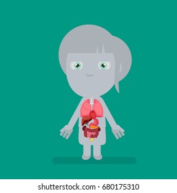 Human body anatomy vector illustration