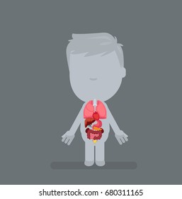 Human body anatomy vector illustration