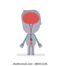 Human body anatomy vector illustration