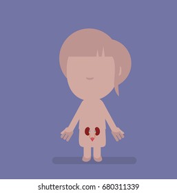 Human body anatomy vector illustration