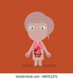 Human body anatomy vector illustration