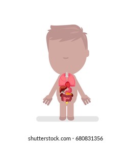Human body anatomy vector illustration