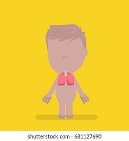 Human body anatomy vector illustration