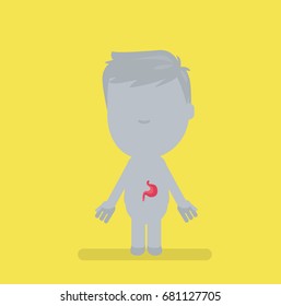 Human body anatomy vector illustration