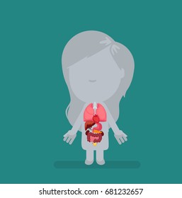 Human body anatomy vector illustration
