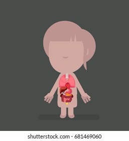 Human body anatomy vector illustration