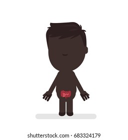 Human body anatomy vector illustration