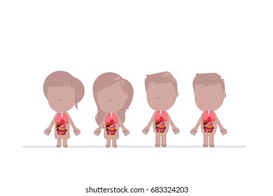 Human body anatomy vector illustration