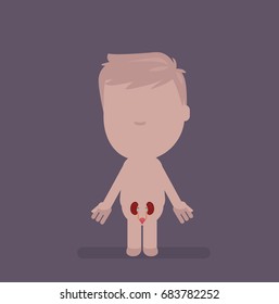 Human body anatomy vector illustration