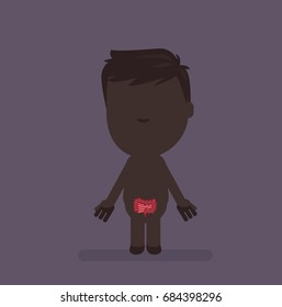 Human body anatomy vector illustration
