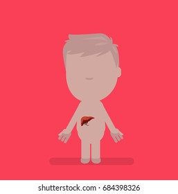Human body anatomy vector illustration