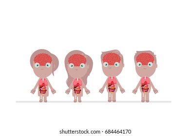 Human body anatomy vector illustration