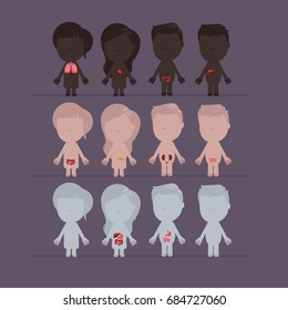 Human body anatomy vector illustration