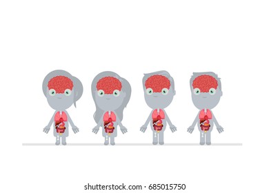 Human body anatomy vector illustration