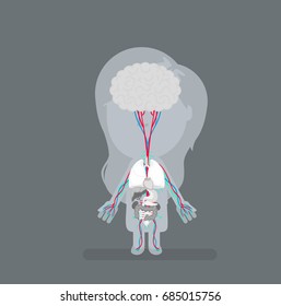 Human body anatomy vector illustration