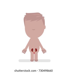 Human body anatomy vector illustration