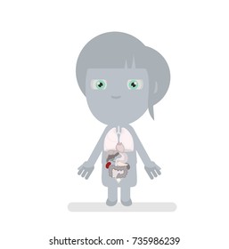 Human body anatomy vector illustration