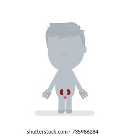 Human body anatomy vector illustration