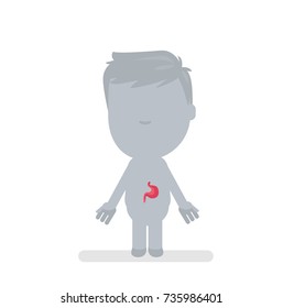 Human body anatomy vector illustration