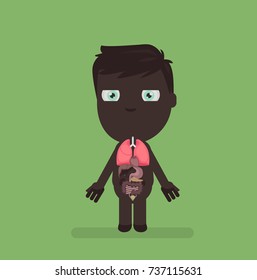 Human body anatomy vector illustration