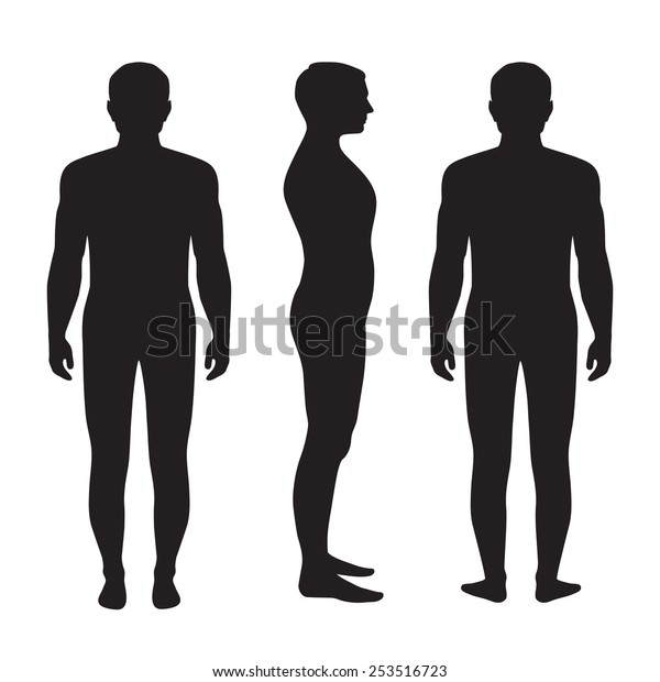 Human Body Anatomy Vector Man Silhouette Stock Vector Royalty Free