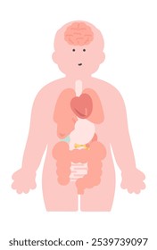 Ilustração do corpo humano (cérebro, órgãos, órgãos internos)
