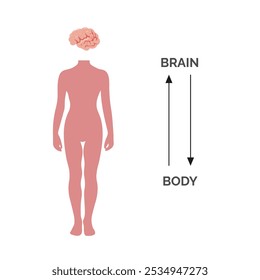 Human body and brain vector illustration