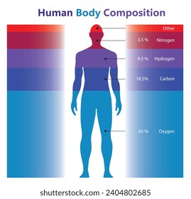 Cuerpo humano Gráfica de composición química, proporciones porcentuales, ilustración vectorial, cuerpo masculino, siluetas,   salud, información médica, elemento cuerpo humano, nitrógeno, carbono, hidrógeno, oxígeno,  