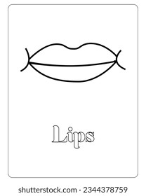 Human Body Coloring Pages, Human Body Part Vector, Black and white