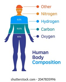 Ilustración vectorial de la gráfica de composición corporal humana. Lista de elementos químicos contenidos en un cuerpo humano.