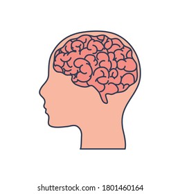 human body concept, head and brain icon over white background, line fill style, vector illustration