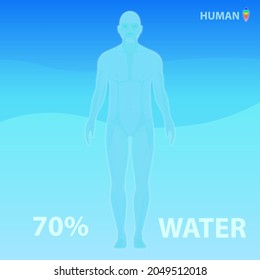 The human body consists of 70% water. Vector infographic illustration