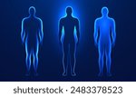 Human body digital glowing silhouettes in a futuristic style on a dark blue background. Set element of human anatomy in glowing light effects for medical, scientific, and technological banner