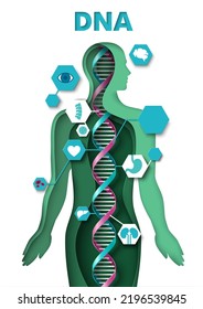 El cuerpo humano y la molécula del adn estructura papel corte la ilustración del vector. Antecedentes médicos con persona, órgano interno y células de espiral génica. Infografía de biotecnología