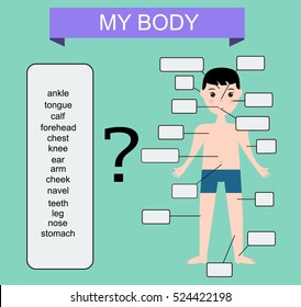 Human body. Educational children game, kids activity. Word test, learning vocabulary and anatomy.