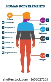 Human body elements, vector illustration infographic. Proportional percentage for nitrogen, hydrogen, carbon, oxygen and others. Healthy life chemical balance and well being on a biological level.