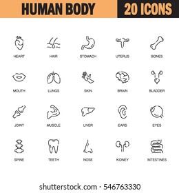 Human body flat icon set. Collection of high quality outline symbols of internal organs for web design, mobile app. Vector thin line icons or logo of eyes, bones, heart, spine, brain, etc.